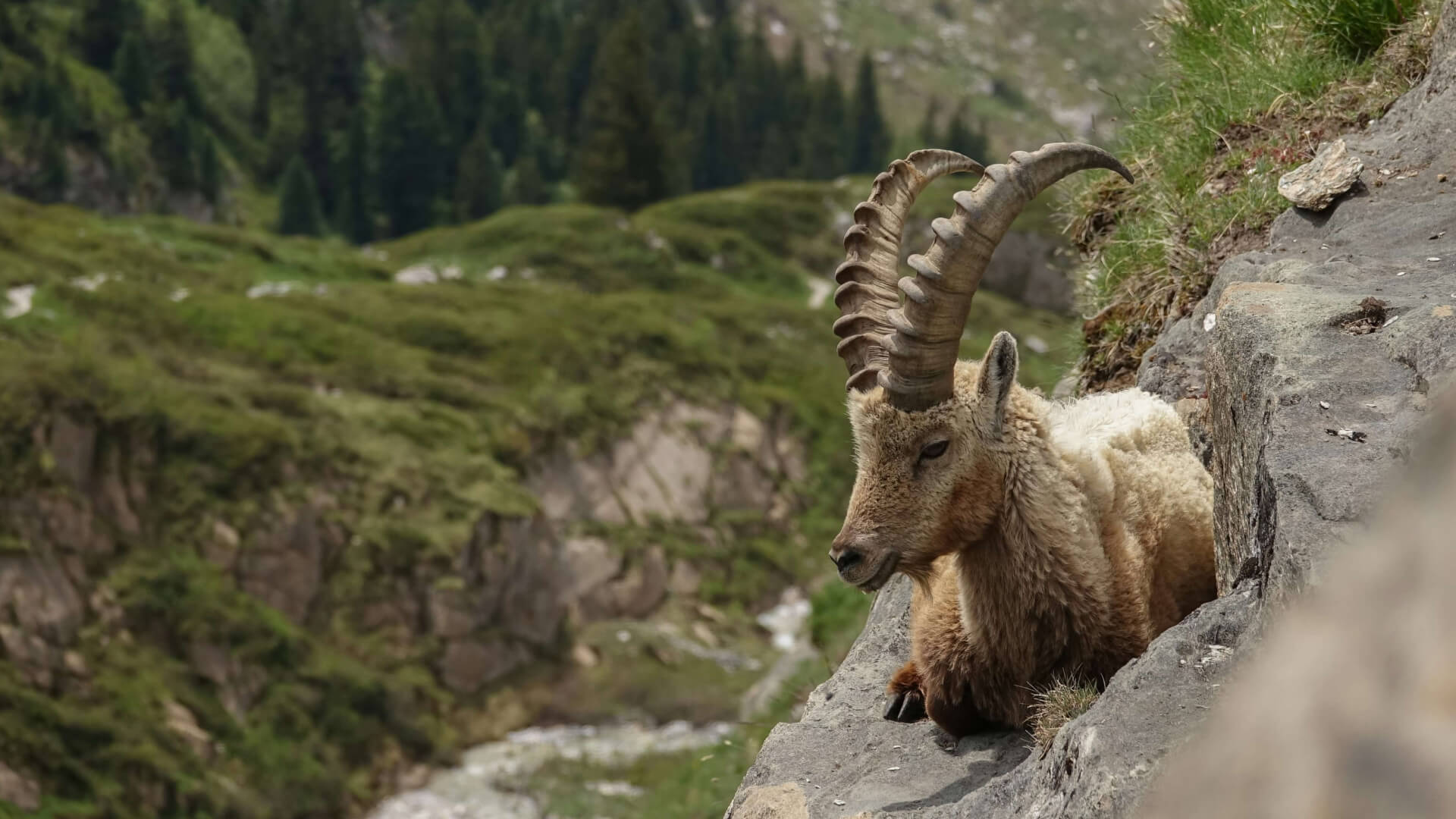 三張圖告訴您為何毋須恐懼市場